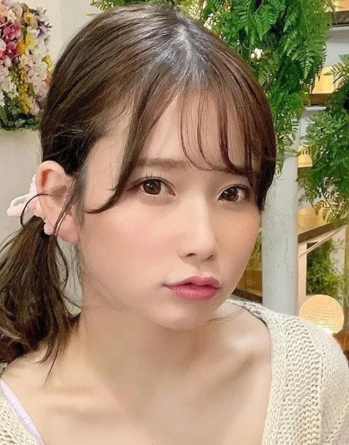 南风知我意 手机免费在线观看